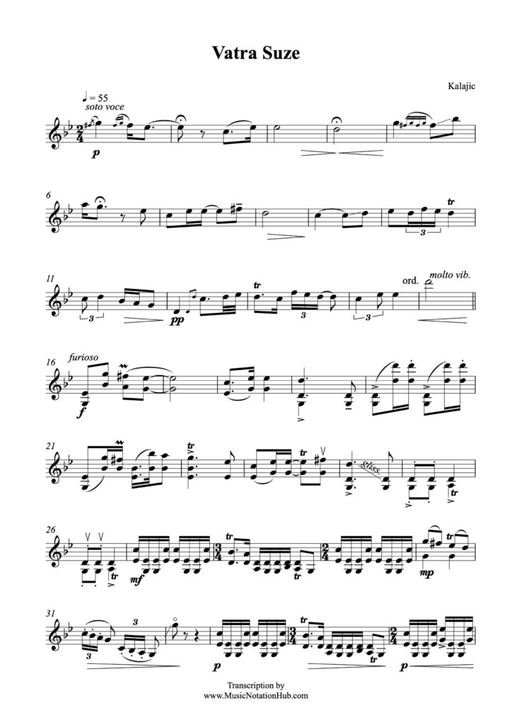 Violin Transcription Sheet Music Sample