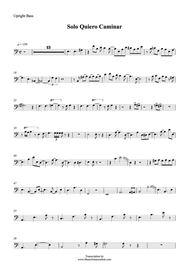 Bass Guitar Transcription Sheet Music Sample