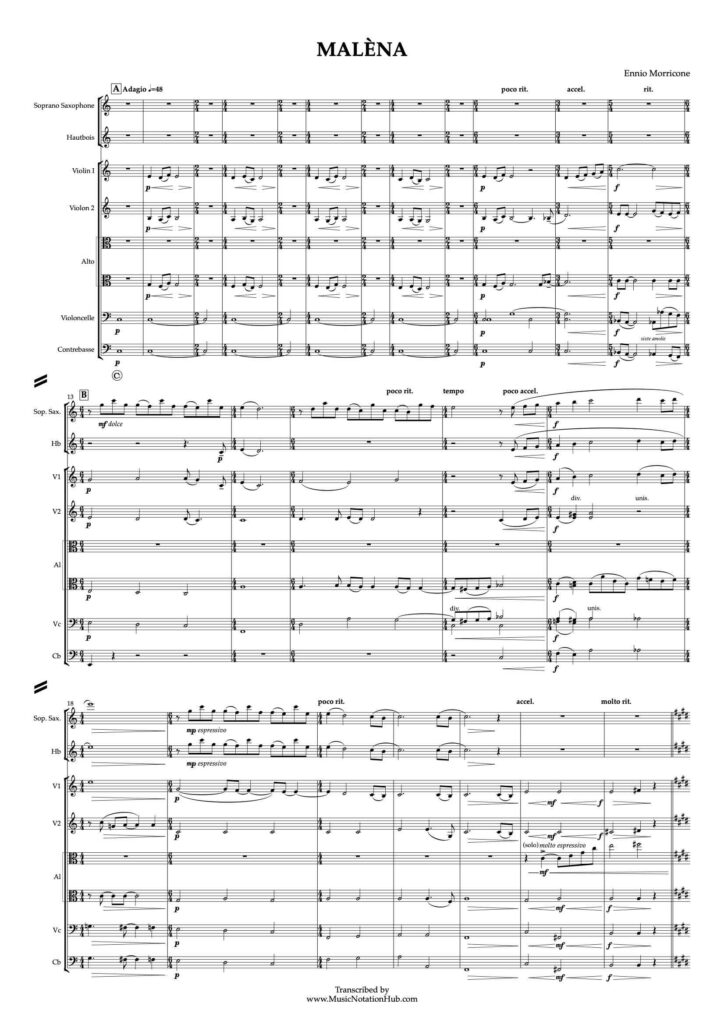 Orchestra Transcription Sheet Music Sample